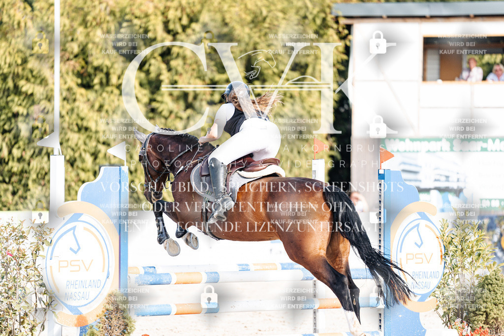 CK909585 | Turnierfotografie Pferdefotografie Trier Rheinland-Pfalz Pferdesport Reitsport Tierfotografie Sportfotografie Pferdevideo Pferdevideografie Equestrianvideography equestrianphotography  - Realisiert mit Pictrs.com