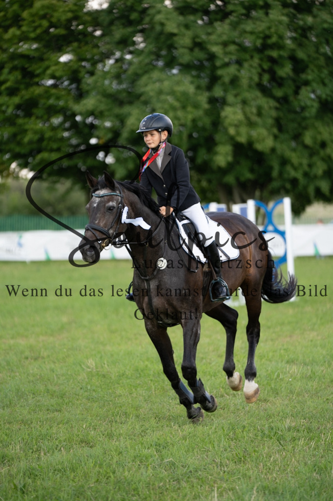 A7V03648 | Pferdefotograf