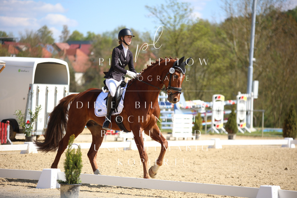 IMGT7319 | pl-fotografie