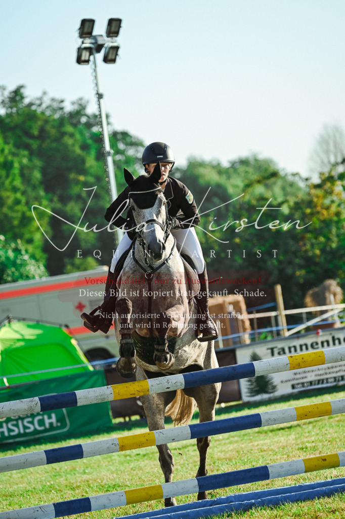 DSC_4244 | Pferde- und Turnierfotografie in Westsachsen. Pferdeportraits, Auftragszeichnungen und intuitive Kunst.