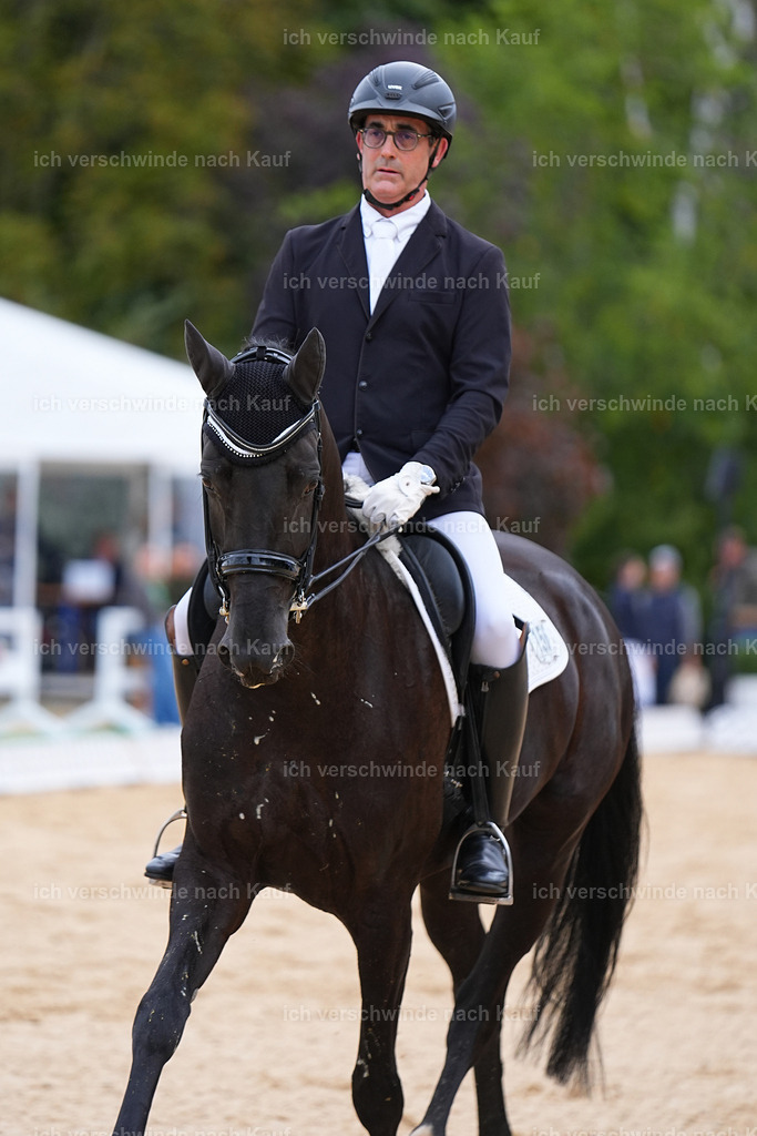 04_2-156-Dressur M__ -Marixx-3046 | working equitationturnier fotograf videograf stoibphotography marixx film working equitation deutschland reitsport turnierfotografie eventfotografie equestrian events