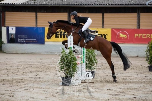 2B4A1532 | pixelfaenger - Realisiert mit Pictrs.com