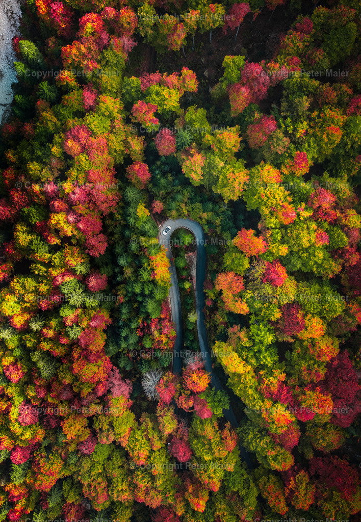 Sortiert_Foto-21683 | piet_flosse