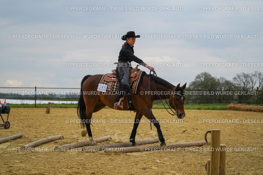 DSC07731 | Pferdegrafie