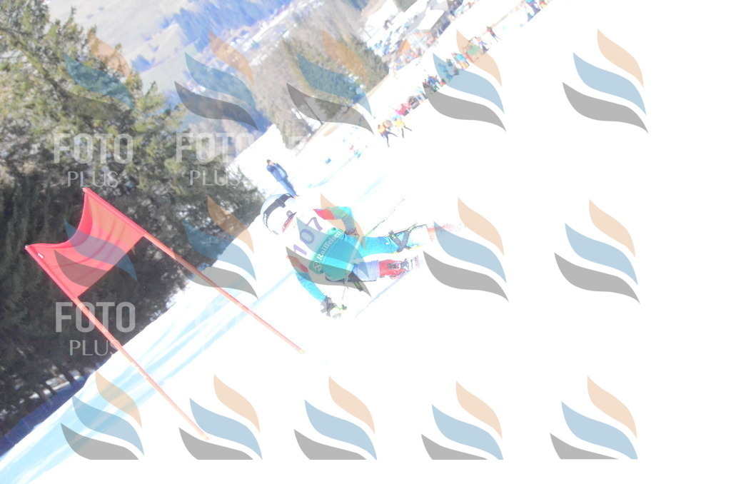 C7820 | holidayphoto