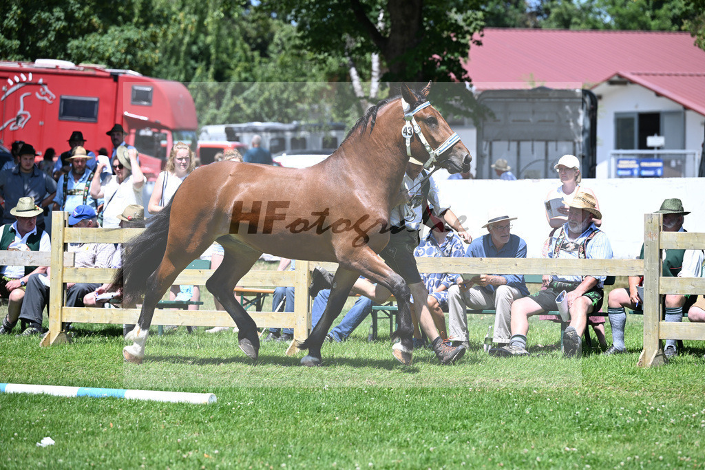 Kat-Nr. 43 Zauberlicht v. Rivero_Berchtold_18250778 | hf-fotografie - Realizzato con Pictrs.com