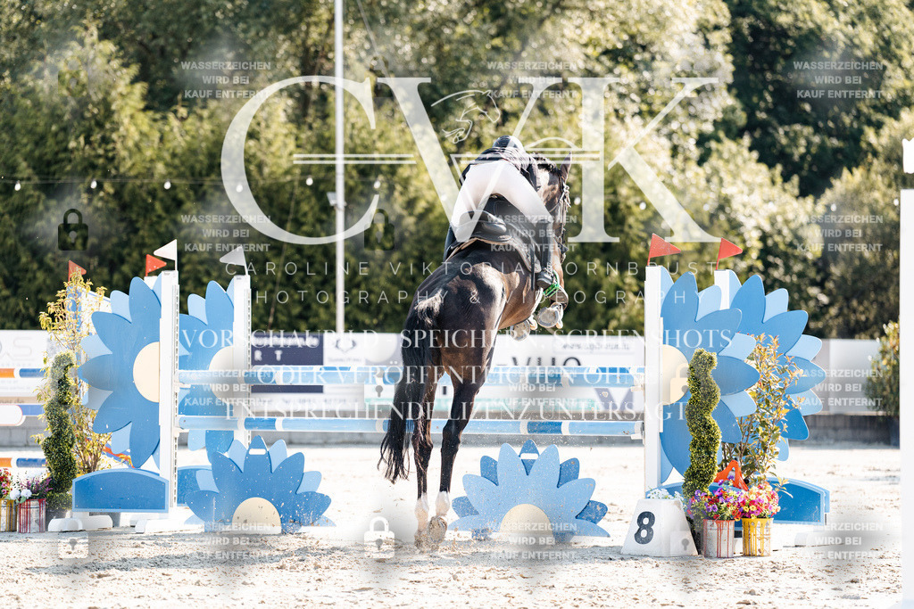 CK901916 | Turnierfotografie Pferdefotografie Trier Rheinland-Pfalz Pferdesport Reitsport Tierfotografie Sportfotografie Pferdevideo Pferdevideografie Equestrianvideography equestrianphotography  - Realisiert mit Pictrs.com