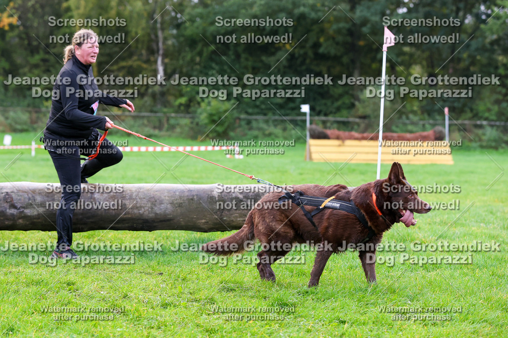Dog Paparazzi -  SD1026-1023 | Dog Paparazzi Jeanette Grottendiek Fotografie & Videografie - Realisiert mit Pictrs.com