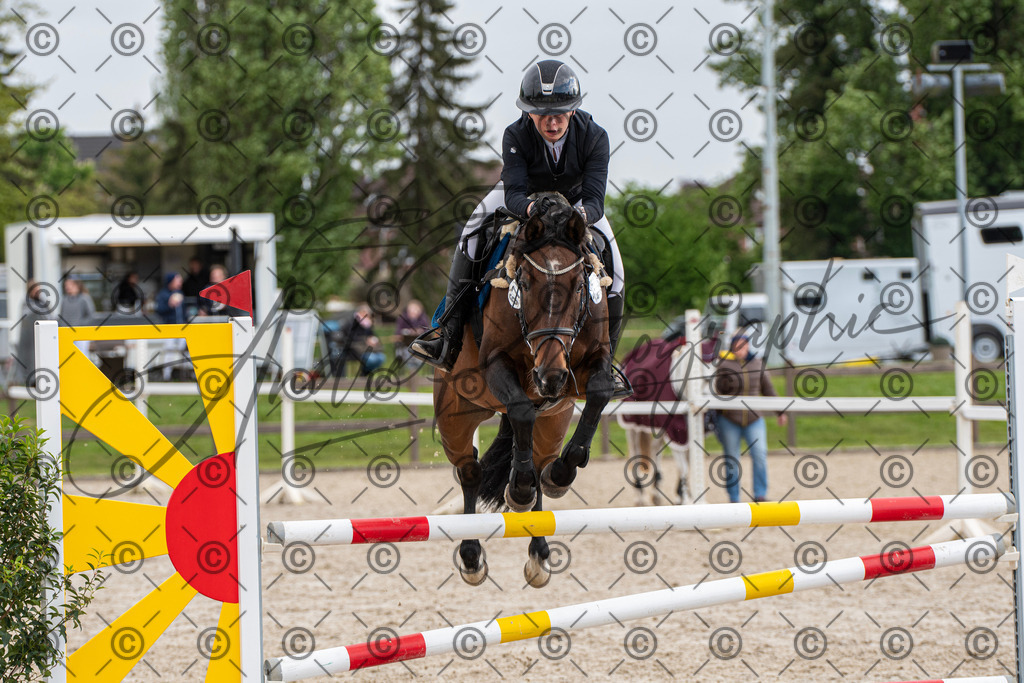 KPT_8093 | andre_photographic