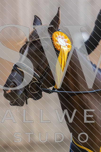 2L2A3398 | stallwerkstudio - Realisiert mit Pictrs.com