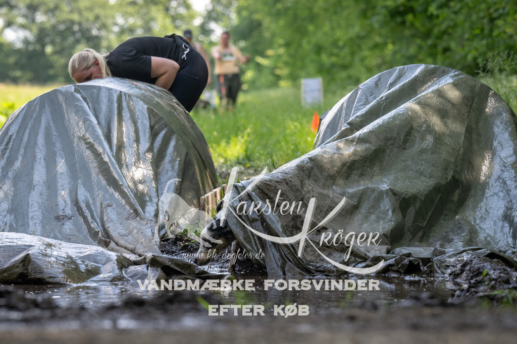 1155_ZZ90314 | kk-dogfotos