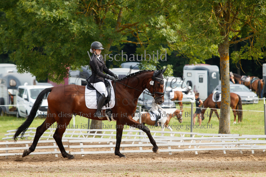 IMG_2484 | P. Berger Fotografie - Realisiert mit Pictrs.com