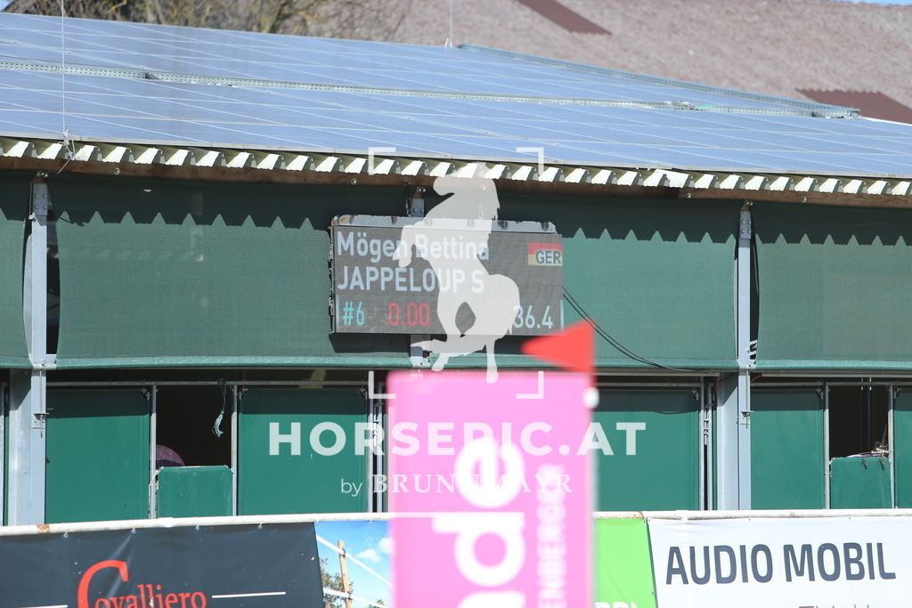 DL2Q0854 | Willkommen bei Brunnmayr - Design & Fotografie – Ihrem Spezialisten für Reitturniere und Pferdeveranstaltungen in Oberösterreich, Salzburg und Bayern! Seit über 17 Jahren sind wir leidenschaftlich dabei.