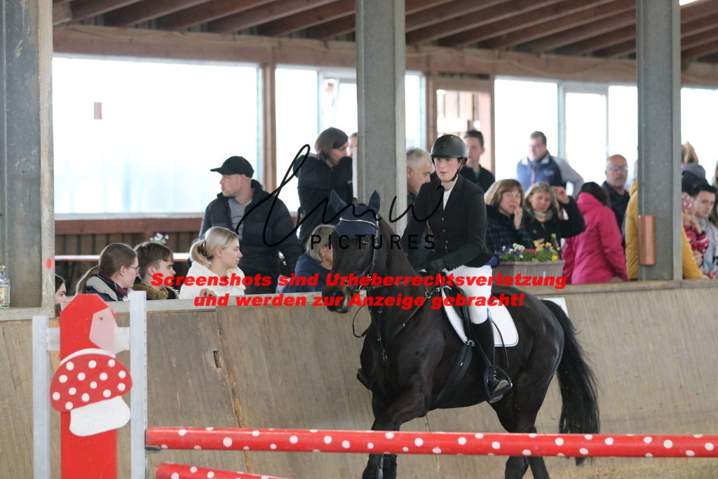 IMG_5956 | lmwpictures - Realisiert mit Pictrs.com