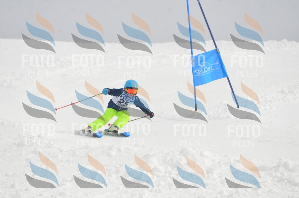 A5202 | holidayphoto