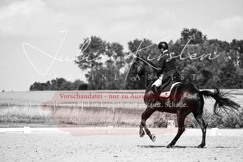 DSC_3023 | Pferde- und Turnierfotografie in Westsachsen. Pferdeportraits, Auftragszeichnungen und intuitive Kunst.