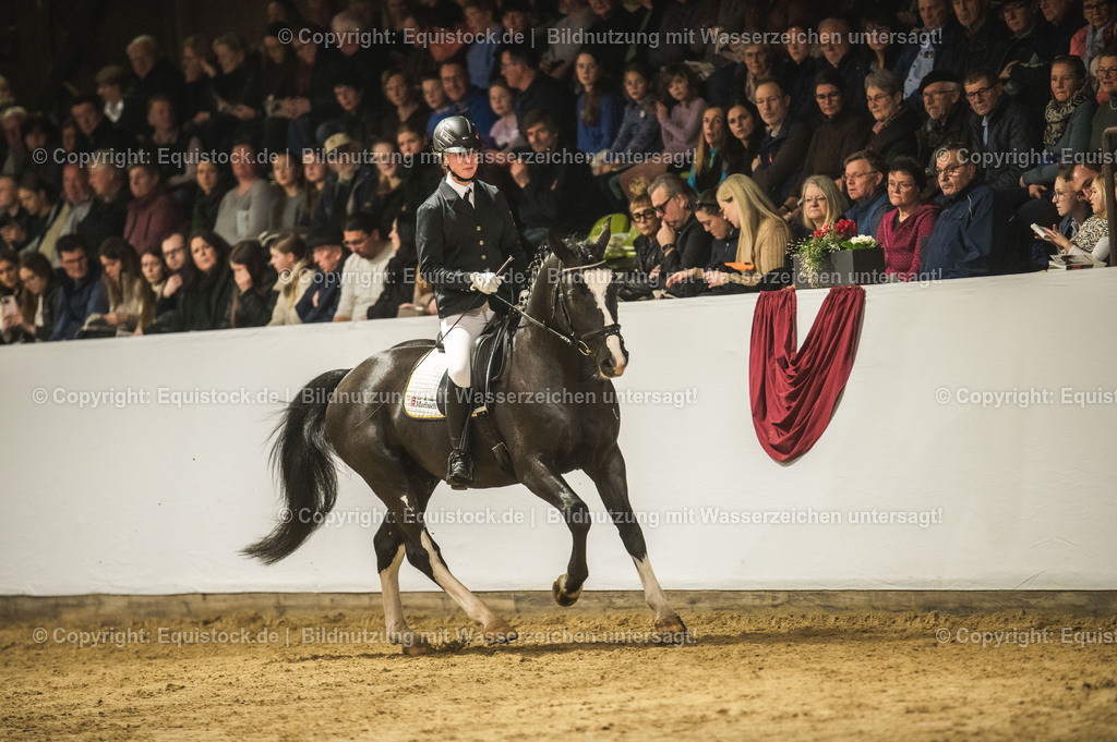 20240302_Hengstvorstellung_Marbach_TOMsPiC_0723 | equistock