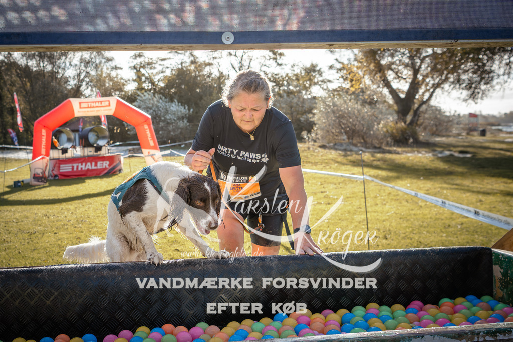 1014_ZZ99985 | kk-dogfotos