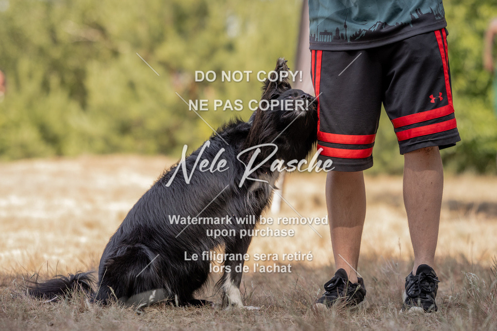 nelerasche_soDD2_328 | nelerasche