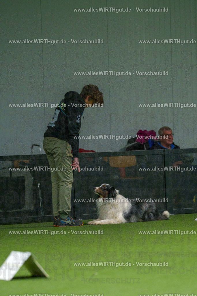 7R504681 | Professionelle Tierfotografie in Mönchengladbach von Daniel Wirth (allesWIRTHgut). Liebevolle & natürliche Bilder von Hunden & Katzen für unvergessliche Erinnerungen.