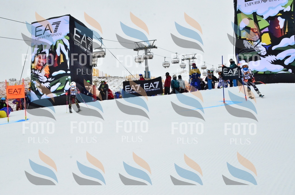 _ELE3303 | holidayphoto