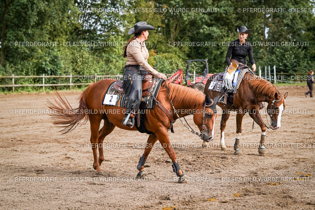 DSC09816 | Pferdegrafie