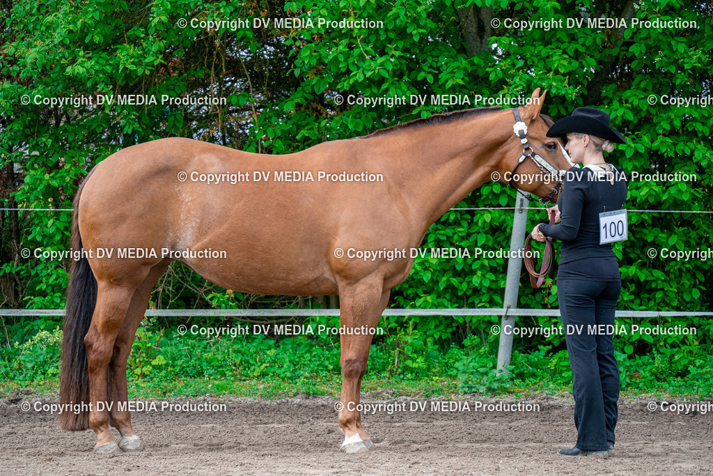 BA300242 | dv-media-shop - Realisiert mit Pictrs.com