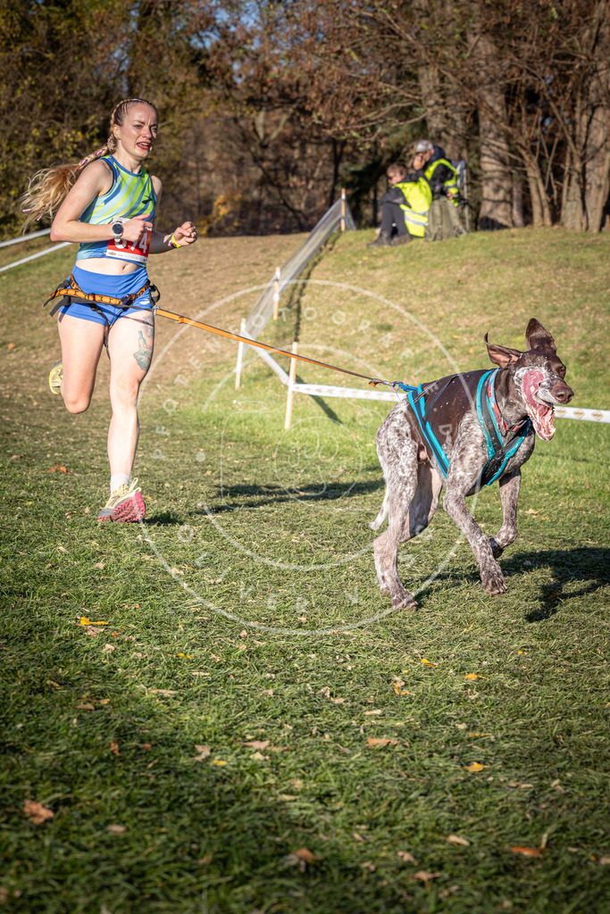 CaniXpix_0L8A9397 | Hundefotografie, Tierfotograf, Pfotenfotografie, Fotoshooting Hund, Hunde Portrait, Hundesport, Hundeportraits, Heideshooting, Hunde, Sportfotograf, Hundefotograf, Turnierhundsport, THS,  - Realisiert mit Pictrs.com
