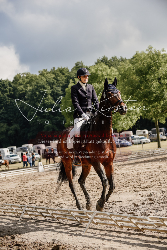 DSC_8805 | Pferde- und Turnierfotografie in Westsachsen. Pferdeportraits, Auftragszeichnungen und intuitive Kunst.