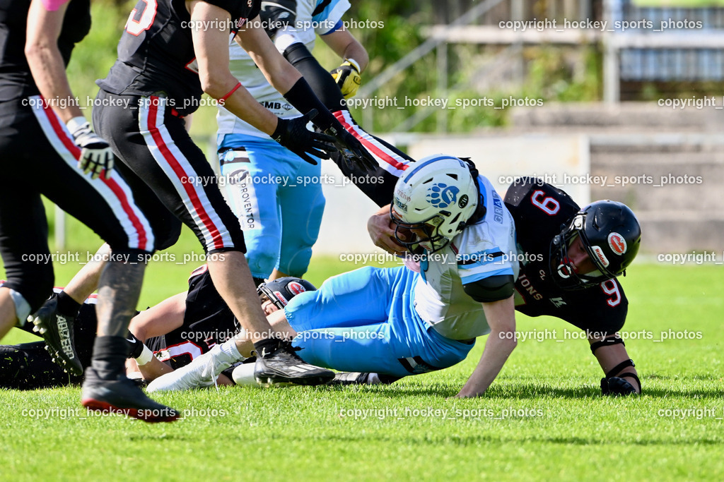Carinthian Lions vs. Styrian Bears | Carinthian Lions vs. Styrian Bears, Carinthian Lions vs. Styrian Bears am 20.05.2024 in Klagenfurt (ASV Sportplatz), Austria, (Photo by Bernd Stefan)