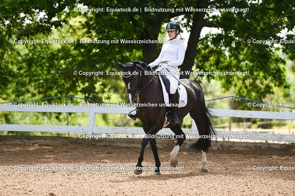 20230716_03_Dressurprfg. Kl.L - Tr._0037 | equistock