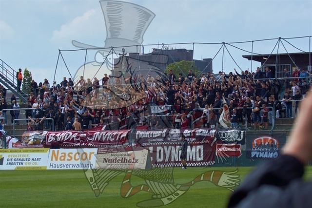 BFC Dynamo vs. Berliner AK 07 022 | mythos-online-redaktion