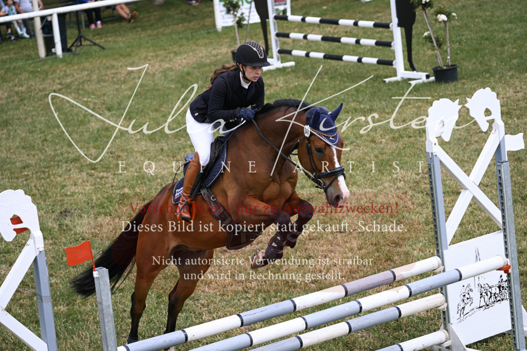 DSC_9540 | Pferde- und Turnierfotografie in Westsachsen. Pferdeportraits, Auftragszeichnungen und intuitive Kunst.