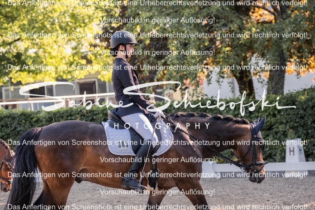 2025_05_31_DSCF2744 | People- und Tierfotografie, Imageaufnahmen, Veranstaltungsfotografie und Wandbilder aus der Natur ★ Made in Germany ✔️ Druck + Downloads ✔️ Naturfotografie in Top Qualität ★ schneller Versand, weltweite Lieferung! - Realisiert mit Pictrs.com