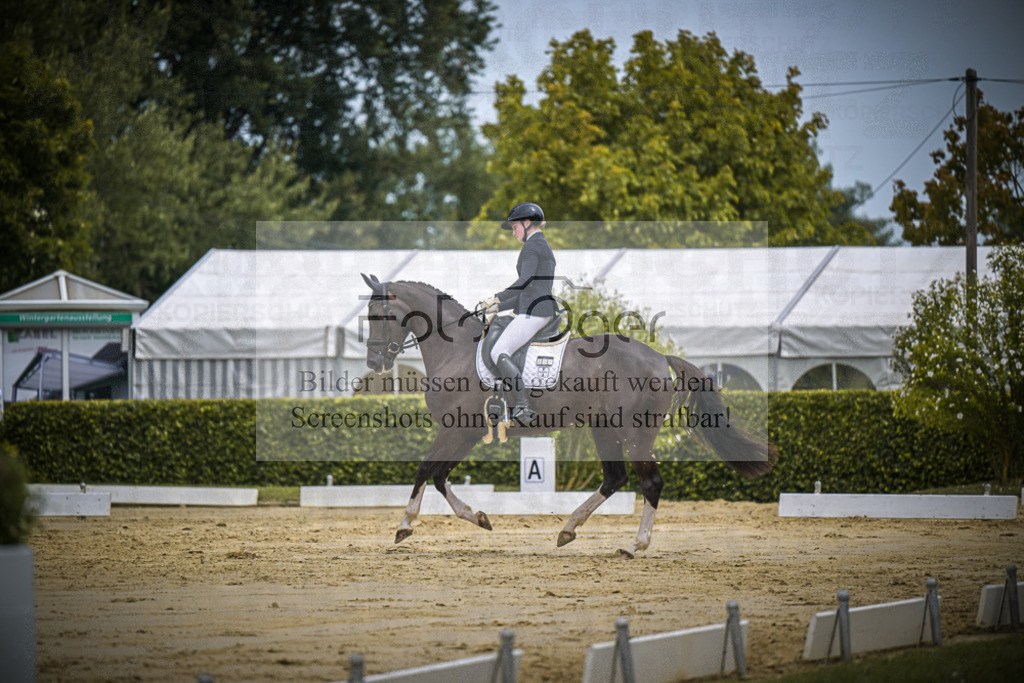 DOS_1757 | Entdecke hochwertige Reitturnierfotos von Foto Oger. Professionell, emotional und authentisch – jetzt Lieblingsmomente im Shop bestellen.Deutschlandweite Turnierfotografie. - Realisiert mit Pictrs.com