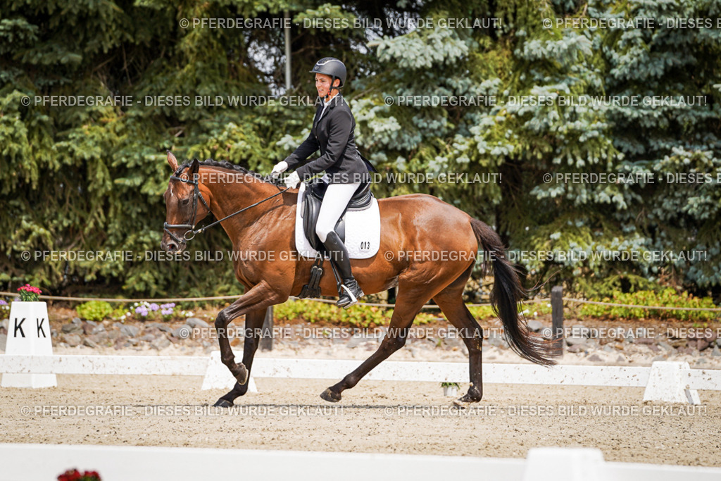 DSC02073 | Pferdegrafie