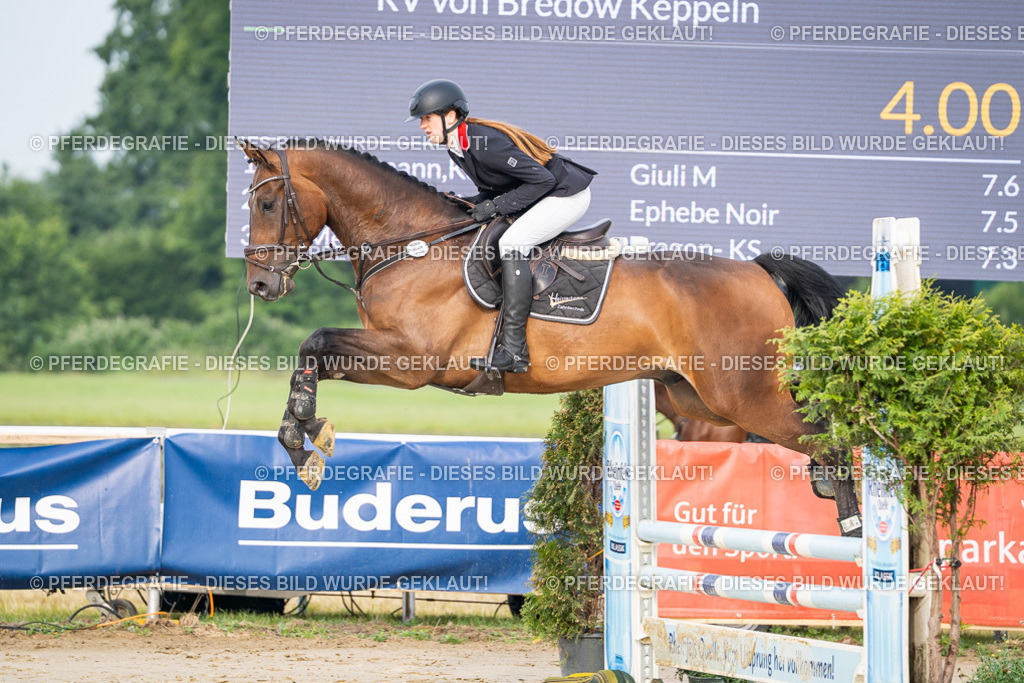 DSC07841 | Pferdegrafie