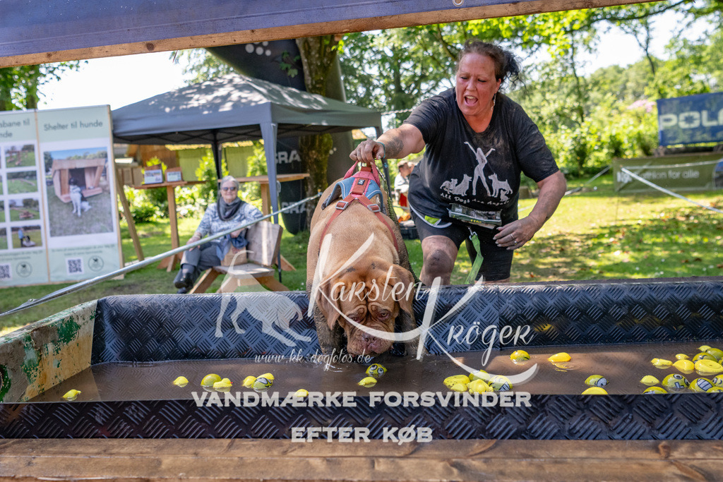 1332_ZZ91549 | kk-dogfotos