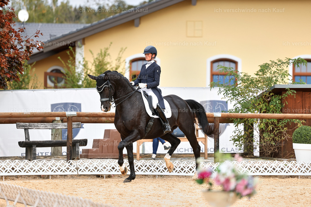 11-042-Dressur S___-StoibPH-1185 | working equitationturnier fotograf videograf stoibphotography marixx film working equitation deutschland reitsport turnierfotografie eventfotografie equestrian events