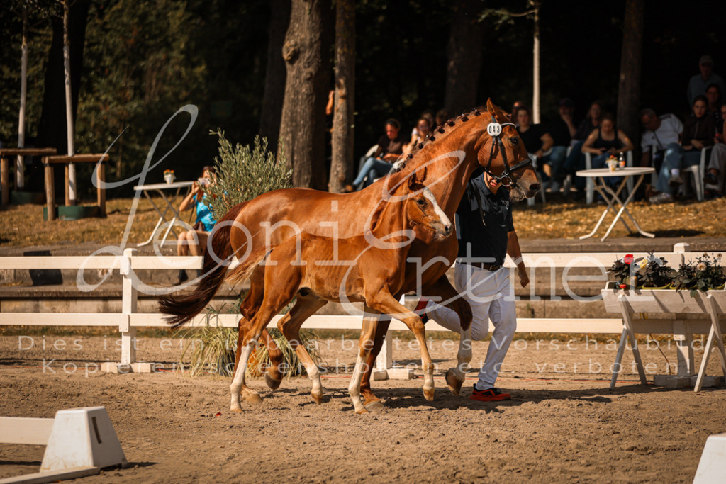 09.DoWBD00011 | Leoni Ertmer Photography - Realisiert mit Pictrs.com