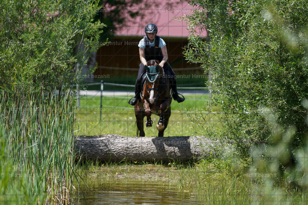 20240622-FAH07121 | Turnierfotografen Bayern, Reitsportbilder aus dem Geländekurs mit Felix Etzel auf dem Gut Waitzacker 2024
