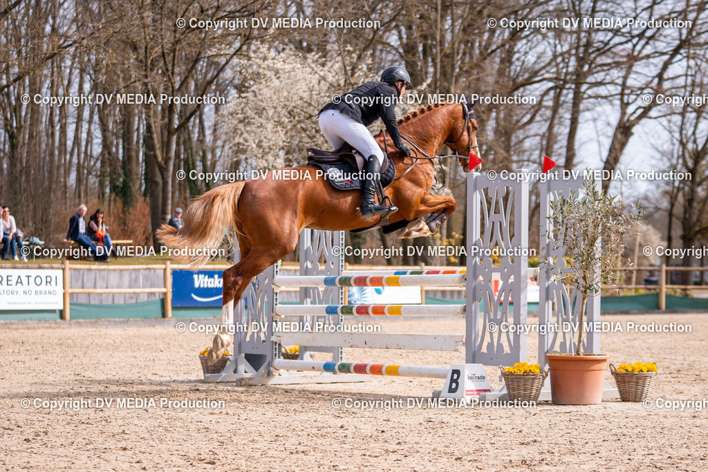 Kranichstein Tag 1-613 | dv-media-shop - Realisiert mit Pictrs.com