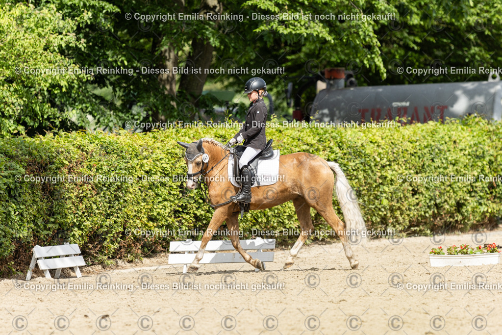 CL5A1412 | Emilia Reinking Fotografie - Realisiert mit Pictrs.com