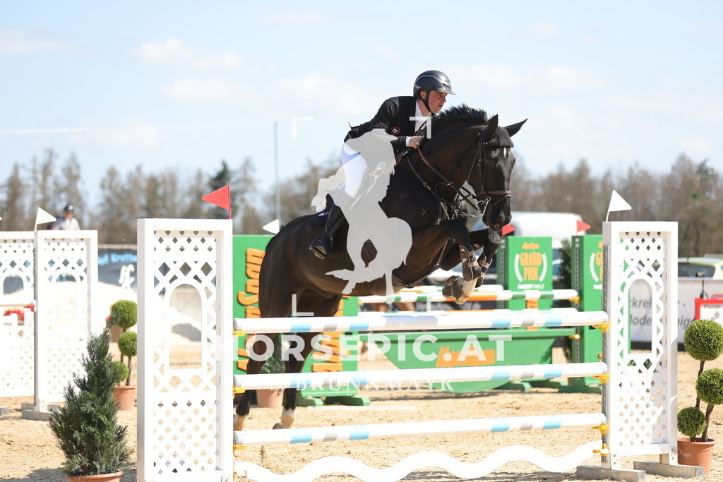 0P6A0288 | Willkommen bei Brunnmayr - Design & Fotografie – Ihrem Spezialisten für Reitturniere und Pferdeveranstaltungen in Oberösterreich, Salzburg und Bayern! Seit über 17 Jahren sind wir leidenschaftlich dabei.