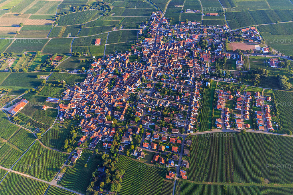 Luftbild: Ortsansicht von Norden im Ortsteil Nußdorf in Landau im Bundesland Rheinland-Pfalz in Deutschland. Foto: IMG_103198.jpg vom 03.09.2017 durch Werner Riehm/FLY-FOTO.de