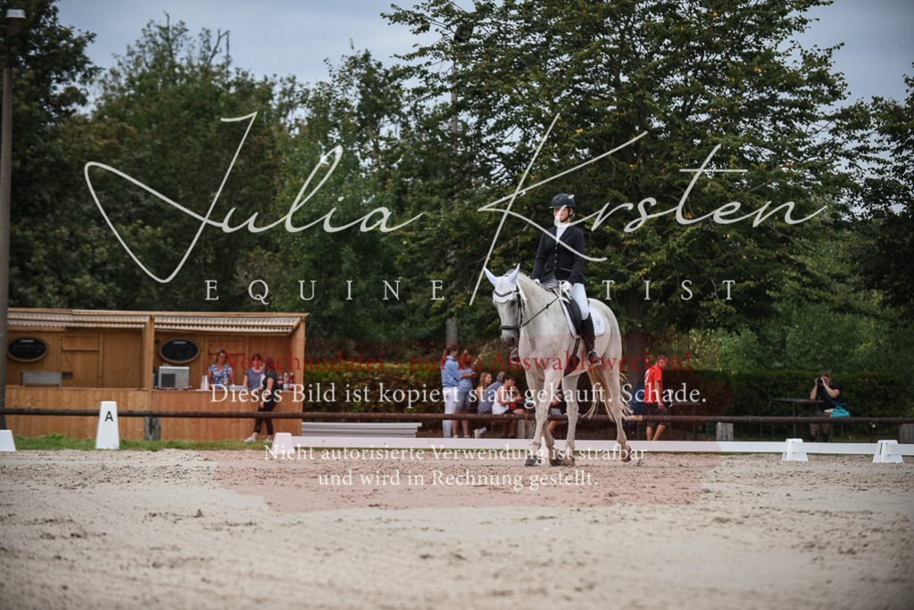 DSC_8480 | Pferde- und Turnierfotografie in Westsachsen. Pferdeportraits, Auftragszeichnungen und intuitive Kunst.