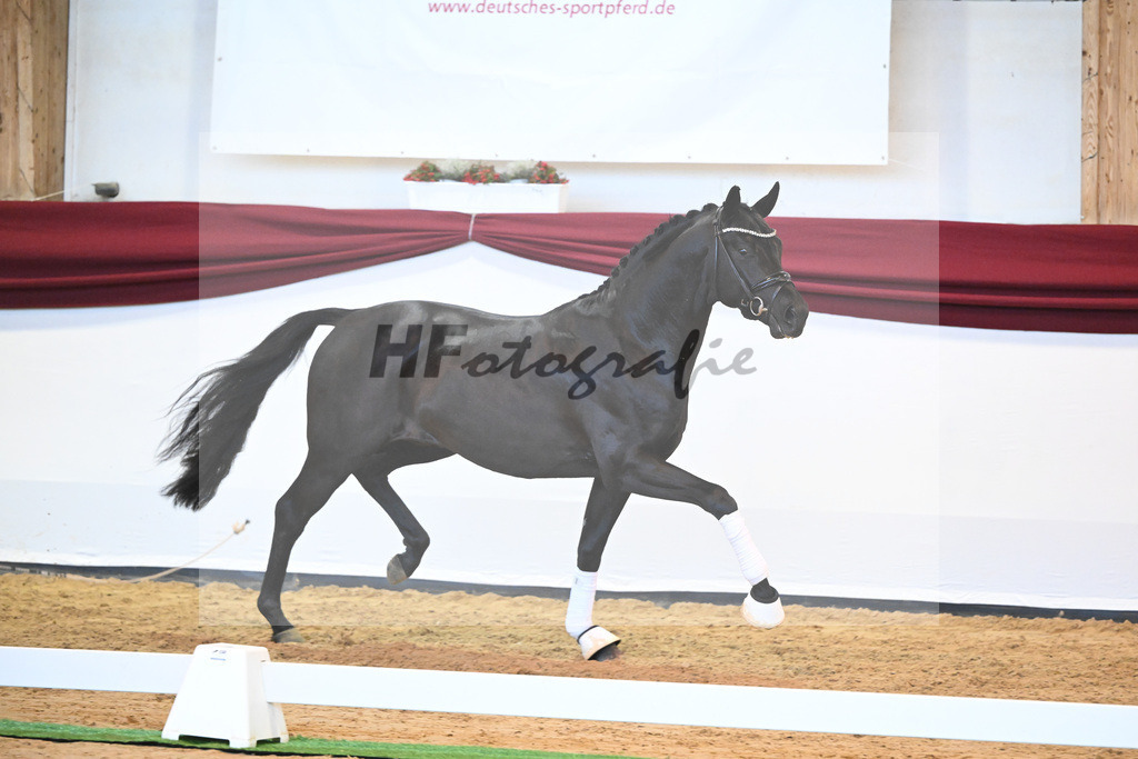 Kat-Nr. 8 v. Bon Courage_Maier_66220170 | hf-fotografie - Realizzato con Pictrs.com