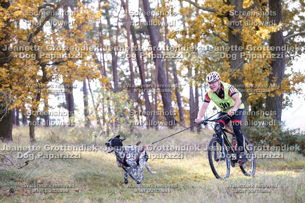 Dog Paparazzi - Elsholz 25 -127 | Dog Paparazzi Jeanette Grottendiek Fotografie & Videografie - Realisiert mit Pictrs.com