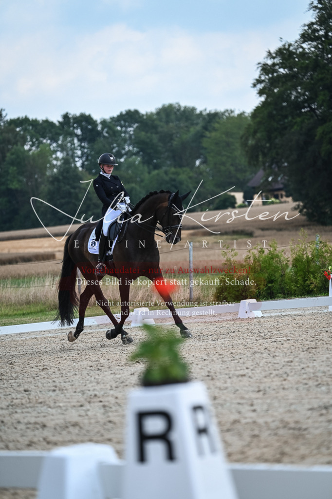 DSC_2289 | Pferde- und Turnierfotografie in Westsachsen. Pferdeportraits, Auftragszeichnungen und intuitive Kunst.