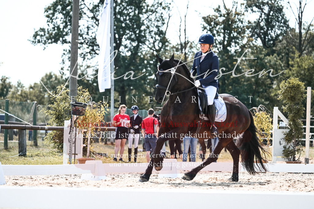 DSC_5407 | Pferde- und Turnierfotografie in Westsachsen. Pferdeportraits, Auftragszeichnungen und intuitive Kunst.